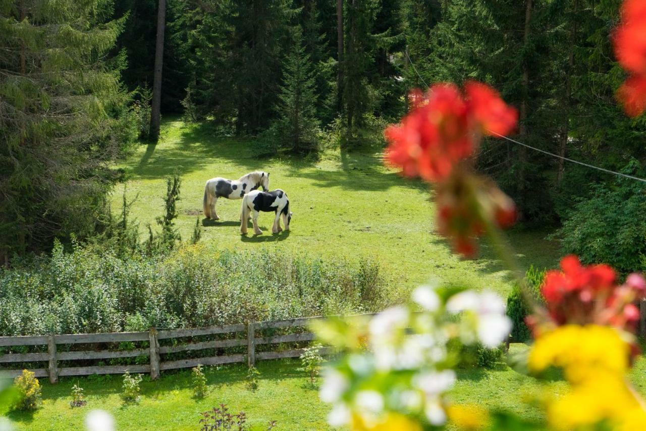Ferienhaus Tannenblick Leutasch Zewnętrze zdjęcie